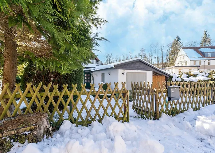 Forest With Sauna 엘렌트