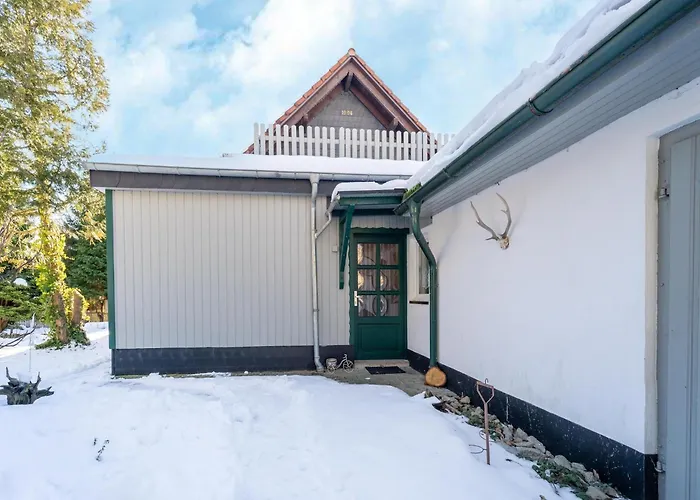 펜션 Forest With Sauna 엘렌트