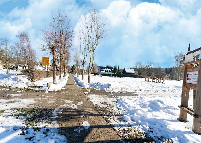 Forest With Sauna 엘렌트