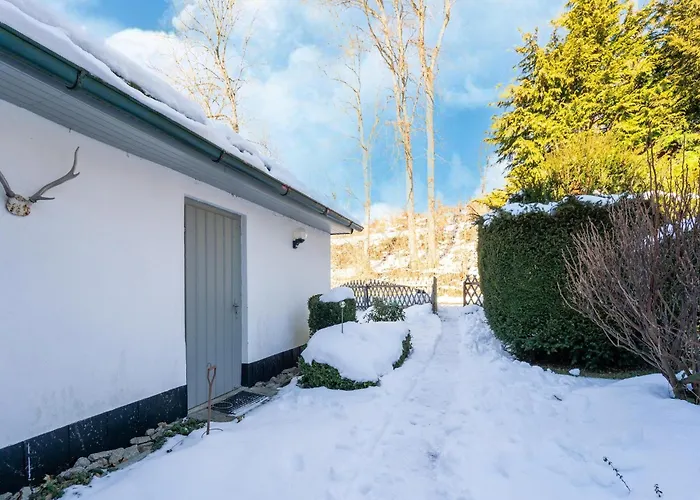 펜션 Forest With Sauna